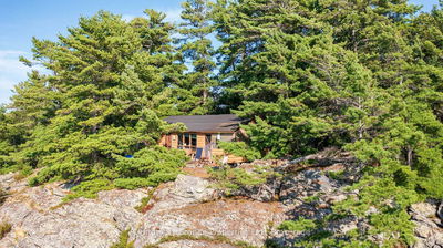 1 PARTRIDGE, McDougall - McDougall image-0-3