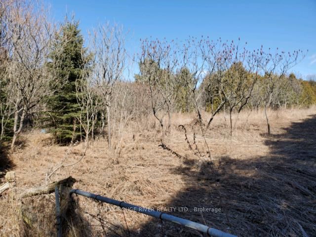 0 Slater St, Hamilton Township, K9A 4J9 | Image 2