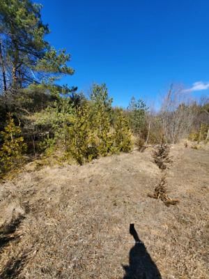 0 Slater St, Hamilton Township, K9A 4J9 | Image 3