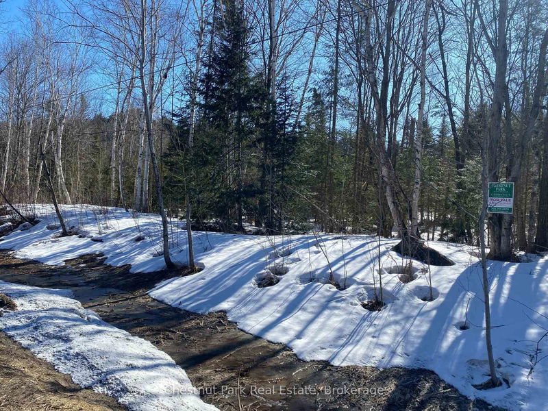 N/A 117, Lake of Bays - Ridout image-0-0