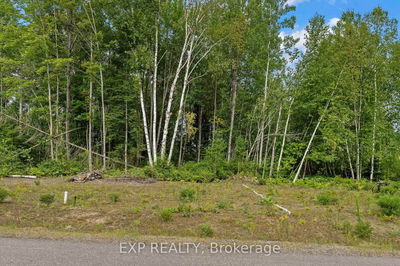 00Lot14 Birchview Dr, Barry's Bay - Madawaska Valley image-0-1