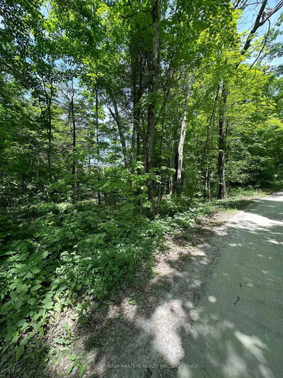 107 Maple Grove Lane, Harrowsmith - Frontenac South