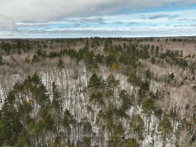 Lt17-18 Highway 41, Plevna - Addington Highlands image-0-4