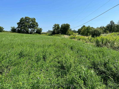 00 Webster Rd, Douro-Dummer - Douro-Dummer image-0-2