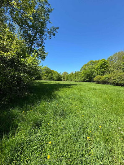PT LT 6-7 16th Line Rd, Wolfe Island - The Islands image-0-3