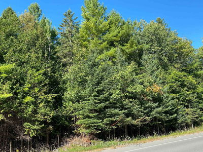 590 County Rd 40, Asphodel-Norwood - Norwood image-0-3