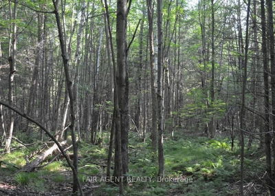 6999 BLEEKS Rd, Ashton - Btwn Franktown Rd. & Fallowfield Rd. image-0-3