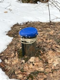 1011 KC Dam Rd, Minden Hills - Lutterworth image-0-3