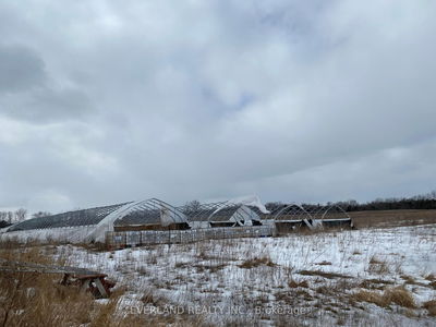 107 Drive In Rd, Greater Napanee - Greater Napanee image-0-4