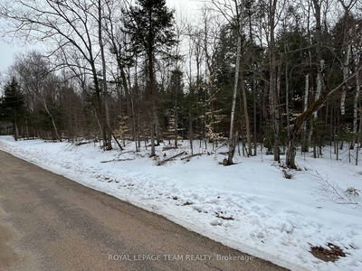 387 Sunny Hill Rd, Barry's Bay - Madawaska Valley