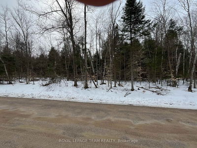 387 Sunny Hill Rd, Barry's Bay - Madawaska Valley image-0-1