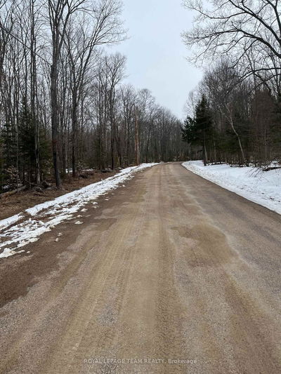 387 Sunny Hill Rd, Barry's Bay - Madawaska Valley image-0-3