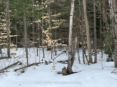 387 Sunny Hill Rd, Barry's Bay - Madawaska Valley image-0-4