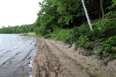 687A Limberlost Point Rd, Parry Sound Remote Area - Restoule image-0-2