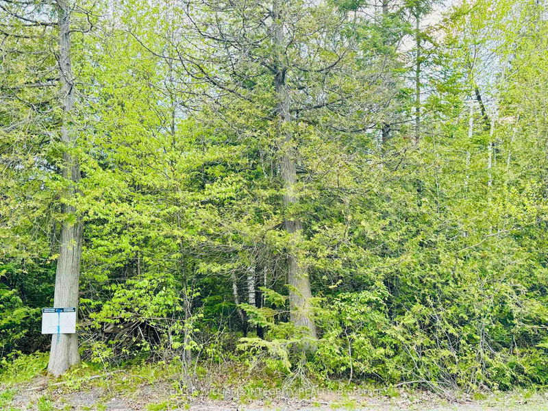 7110 Gallagher Rd, North Gower - Rideau Twp S of Reg Rd 6 W of Mccordick Rd. image-0-0