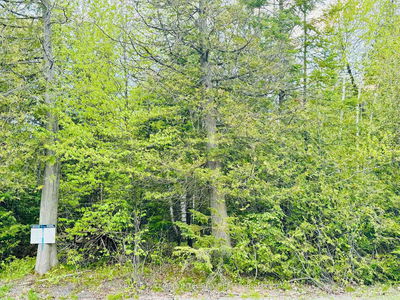 7110 Gallagher Rd, North Gower - Rideau Twp S of Reg Rd 6 W of Mccordick Rd.