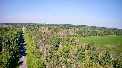 0000 Concession 3-4 Rd, North Stormont - North Stormont (Finch) Twp image-0-4