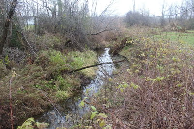 00 Maurice St, North Dundas - North Dundas (Mountain) Twp image-0-1
