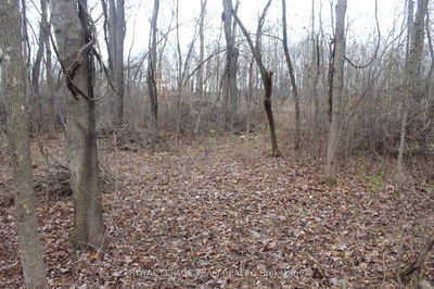 00 Maurice St, North Dundas - North Dundas (Mountain) Twp image-0-2
