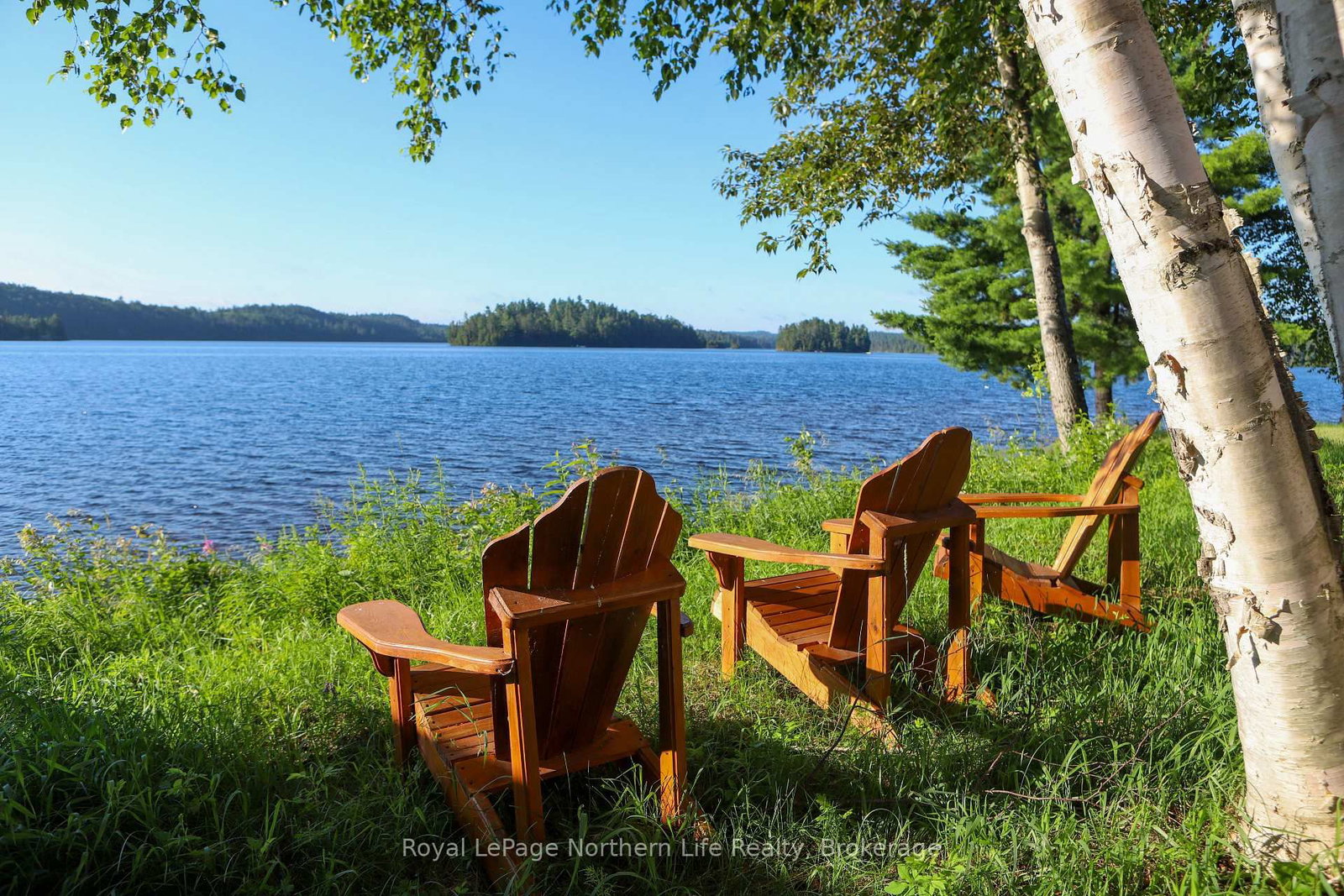 33 WHITE BEAR Court - Photo 36