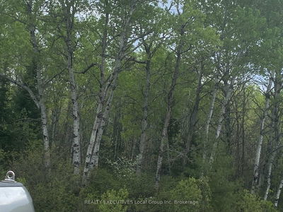 LOT 33 RUTHERGLEN Line, Bonfield - Bonfield image-0-2
