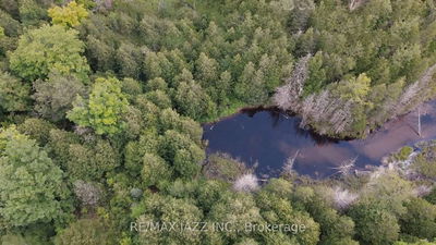 1670 Daley Rd, Tyendinaga - Tyendinaga Township image-0-4