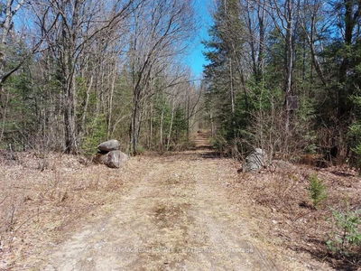 1759 Yearly Rd, McMurrich/Monteith - McMurrich image-0-3