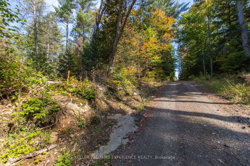 0 Lynx Lake Rd, Huntsville, P1H 2J3 | Image 3