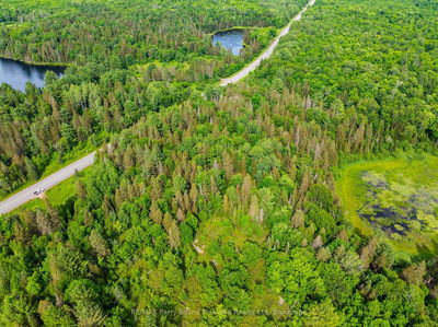 7281B Highway 124, Magnetawan - Magnetawan image-0-4