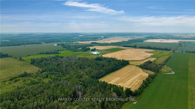 433143 4 Line, Amaranth - Rural Amaranth image-0-3