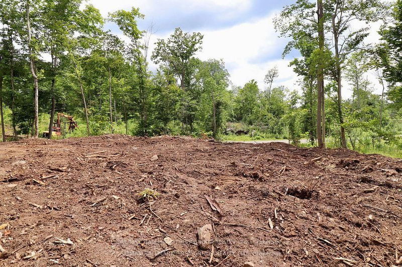 N/A Black River Rd, Tweed - Elzevir (Twp) image-0-0