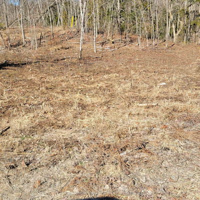 N/A Black River Rd, Tweed - Elzevir (Twp) image-0-1