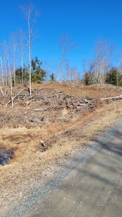 N/A Black River Rd, Tweed - Elzevir (Twp) image-0-2