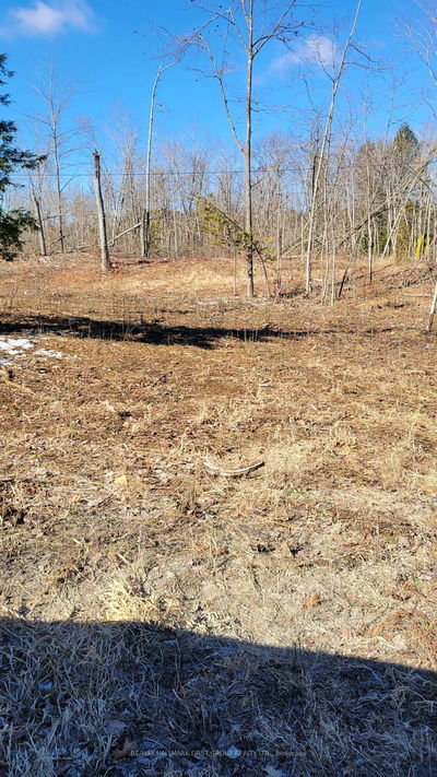 N/A Black River Rd, Tweed - Elzevir (Twp) image-0-4