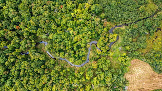 LOT 20 BEIERS Road