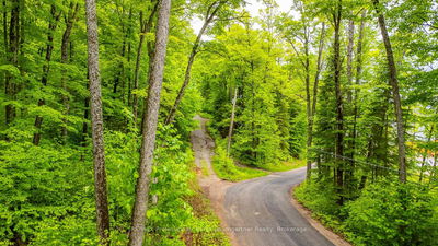  Grace River Rd, Dysart et al - Harcourt image-0-3