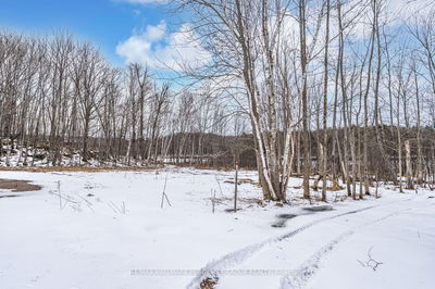 91B Highway 124, McDougall - McDougall image-0-1