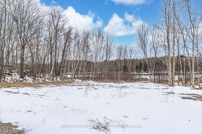 91B Highway 124, McDougall - McDougall image-0-2