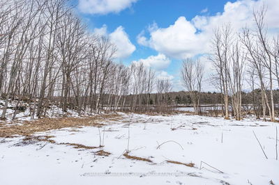 91B Highway 124, McDougall - McDougall image-0-3