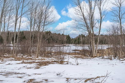 91B Highway 124, McDougall - McDougall image-0-4