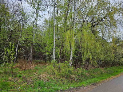 00 MCGEE St, Pembroke - Pembroke image-0-3