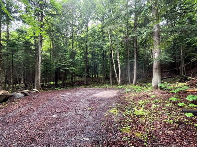 TBD County 21 Rd, Minden Hills - Minden