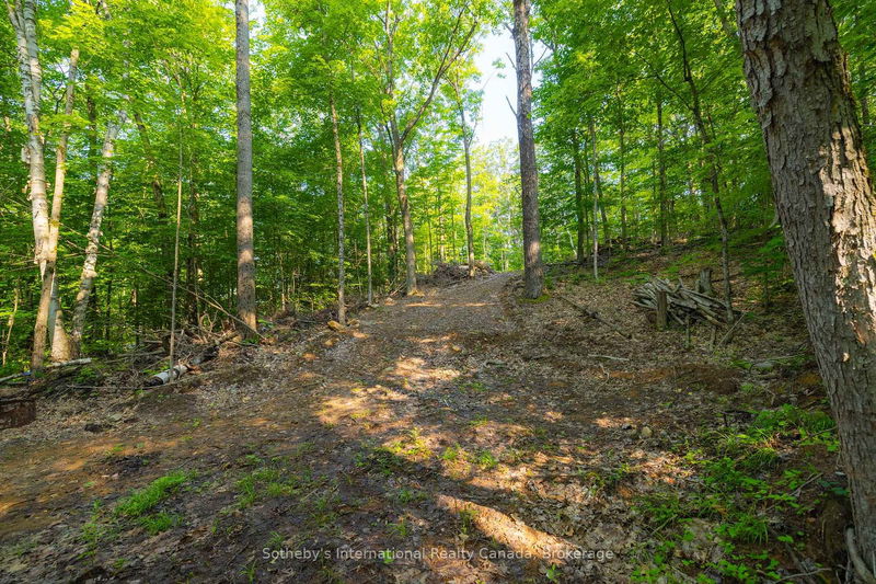 109 JEAN MARIE Rd, Seguin - Seguin image-0-0