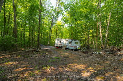 109 JEAN MARIE Rd, Seguin - Seguin image-0-2