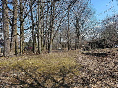 Pt 2 George St, Arran-Elderslie - Arran-Elderslie image-0-4