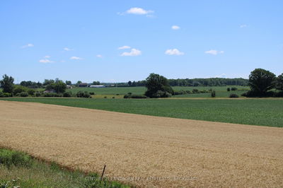 LT15-16 COUNTY ROAD 1, Greater Napanee - Greater Napanee image-0-1