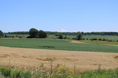 LT15-16 COUNTY ROAD 1, Greater Napanee - Greater Napanee image-0-2