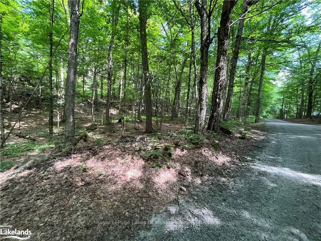 LOT 134 BRENNAN Circle