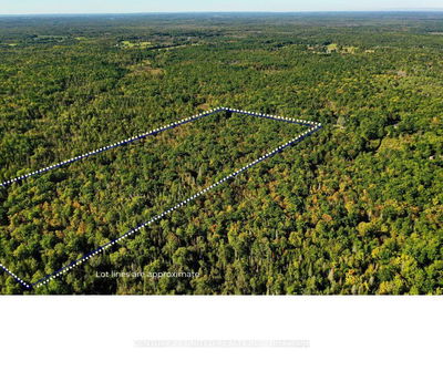  McCleary Rd, Limoges - Marmora Ward image-0-2