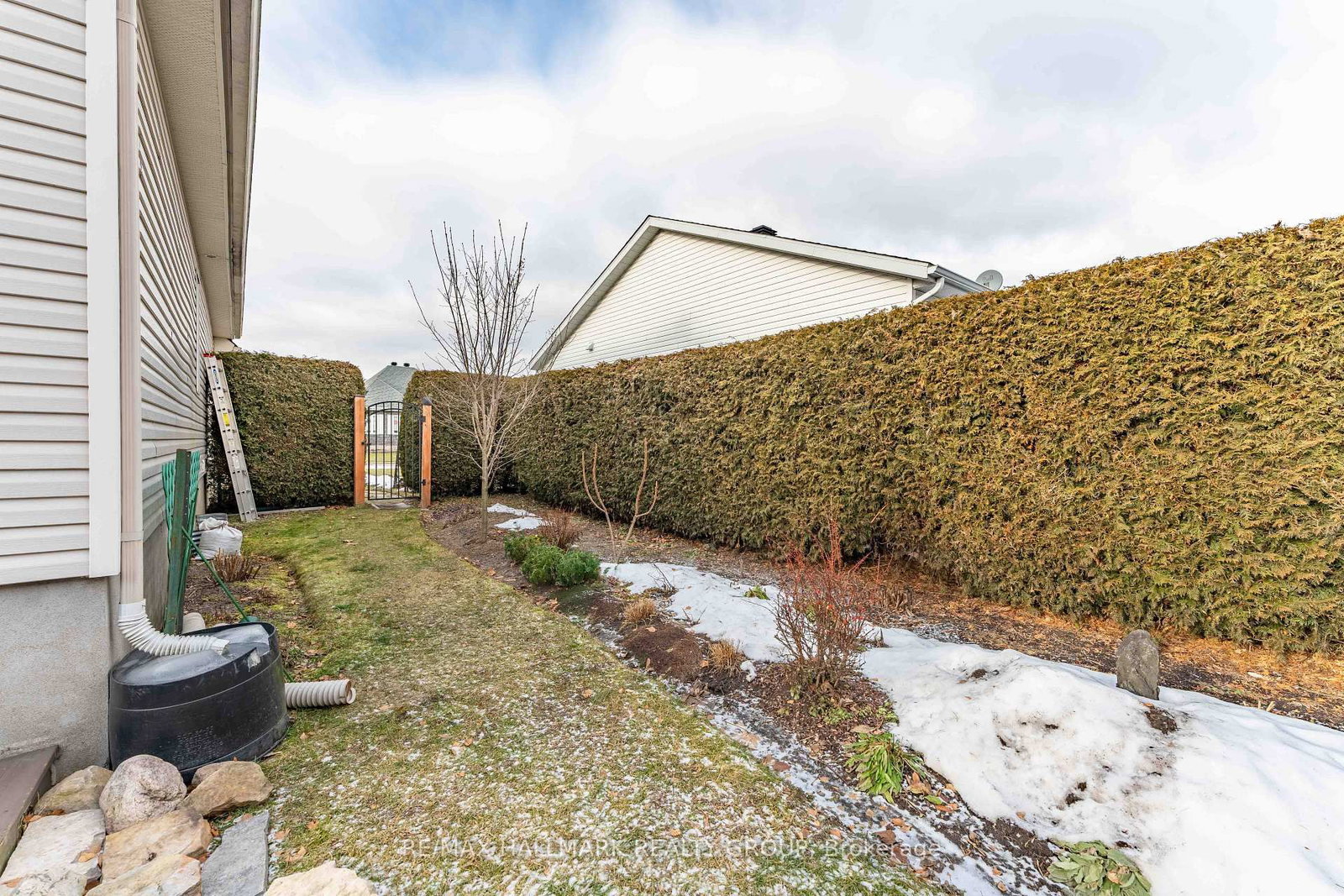 Listing Image 37